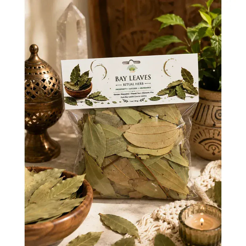 Dried Bay Leaves Ritual Herb – 1 oz